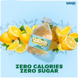 Splash Refresher™ Lemon Flavored Water Beverage 8 Fl Oz Plastic Bottles (24 Pack)