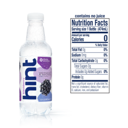 Hint® Blackberry Infused Water 16 FL Oz Plastic Bottles (12 Pack)