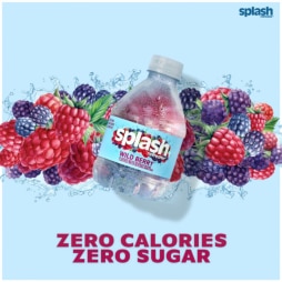 Splash Refresher™ Wild Berry Flavored Water Beverage 8 Fl Oz Plastic Bottles (24 Pack)