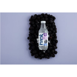 Hint® Blackberry Infused Water 16 FL Oz Plastic Bottles (12 Pack)