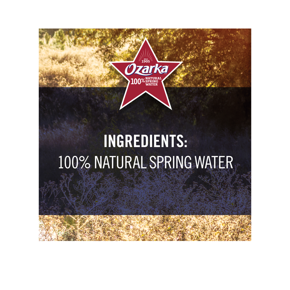 Ozarka® 100% Natural Spring Water Image3