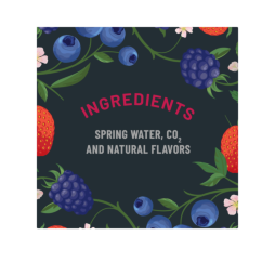 ORIGIN™ Berry Flavor Sparkling Water 12 Fl Oz Aluminum Cans (24 Pack)