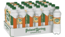 Poland Spring® Orange Sparkling Water Poland Spring® Orange Sparkling Water