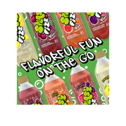 Splash Fizz™ Raspberry Blackberry Flavored Sparkling Water Beverage 20 Fl Oz Plastic Bottles (12 Pack)