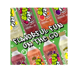 Splash Fizz™ Black Cherry Flavored Sparkling Water Beverage 20 Fl Oz Plastic Bottles (12 Pack)