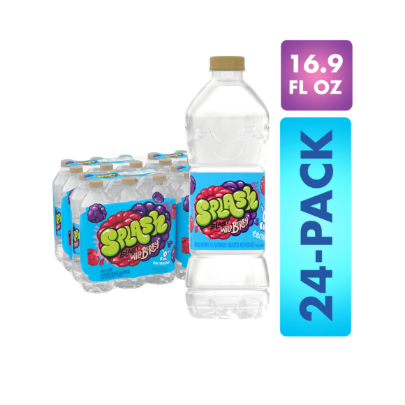 Splash Blast, Flavored Water Beverage, Wild Berry Flavor, 16.9 FL OZ Plastic Bottles (24 Count) Image1