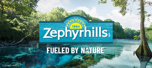 Zephyrhills water deals dispenser