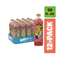 Splash Fizz™ Raspberry Blackberry Flavored Sparkling Water Beverage 20 Fl Oz Plastic Bottles (12 Pack)