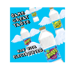 Splash Refresher™ Variety Flavored Water Beverage 16.9 Fl Oz Plastic Bottles (24 Pack)