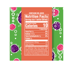 Splash Fizz™ Raspberry Blackberry Flavored Sparkling Water Beverage 20 Fl Oz Plastic Bottles (12 Pack)