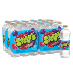 Splash Blast, Flavored Water Beverage, Wild Berry Flavor, 16.9 FL OZ Plastic Bottles (24 Count)