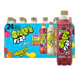 Splash Fizz™ Variety Pack Sparkling Water Beverage 20 Fl Oz Plastic Bottles (24 Pack)