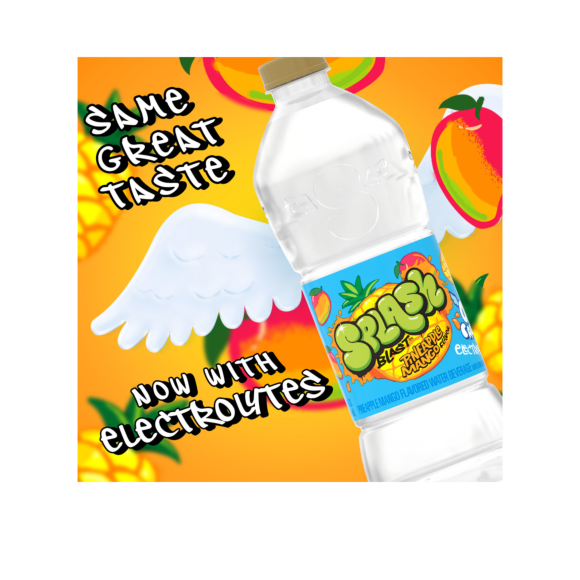 Splash Blast, Flavored Water Beverage, Pineapple Mango Flavor, 16.9 FL OZ Plastic Bottles (24 Count) Image2