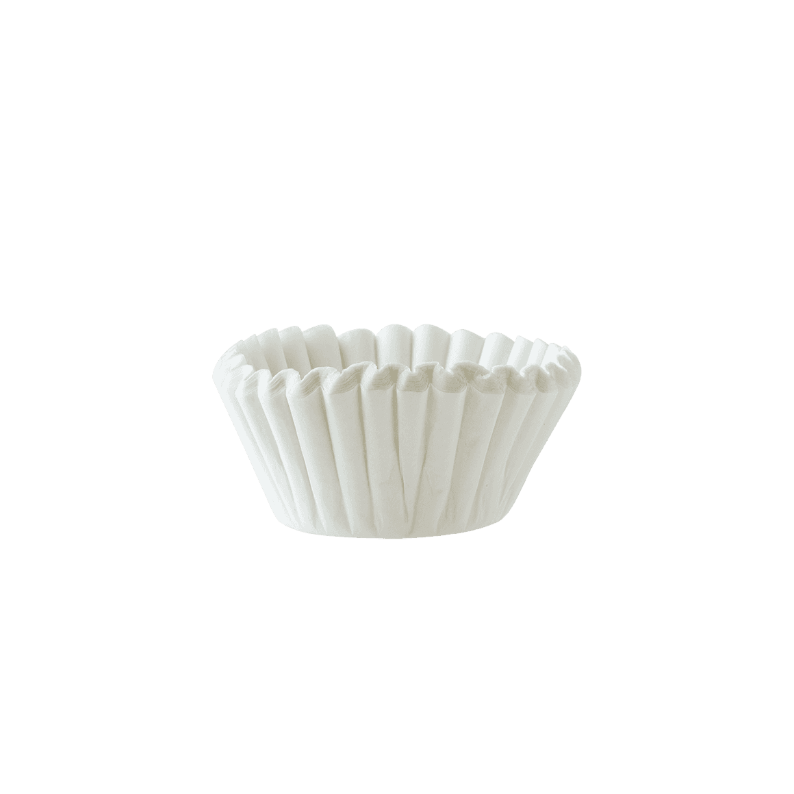 Coffee Filters Large