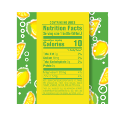 Splash Fizz™ Lemonade Flavored Sparkling Water Beverage 20 Fl Oz Plastic Bottles (12 Pack)