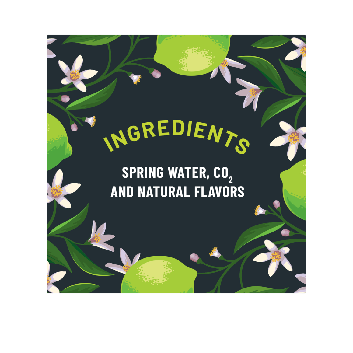 ORIGIN™ Sparkling Water Lime Flavor 16.9 Fl Oz Recycled Plastic Bottle (24 Pack) Image4