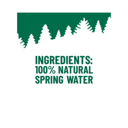 ORIGIN™ 100% Natural Spring Water 450 mL Recycled Plastic Bottle (24 Pack)
