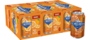 Ice Mountain® Orange Sparkling Water Ice Mountain® Orange Sparkling Water
