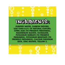 Splash Fizz™ Lemonade Flavored Sparkling Water Beverage 20 Fl Oz Plastic Bottles (12 Pack)