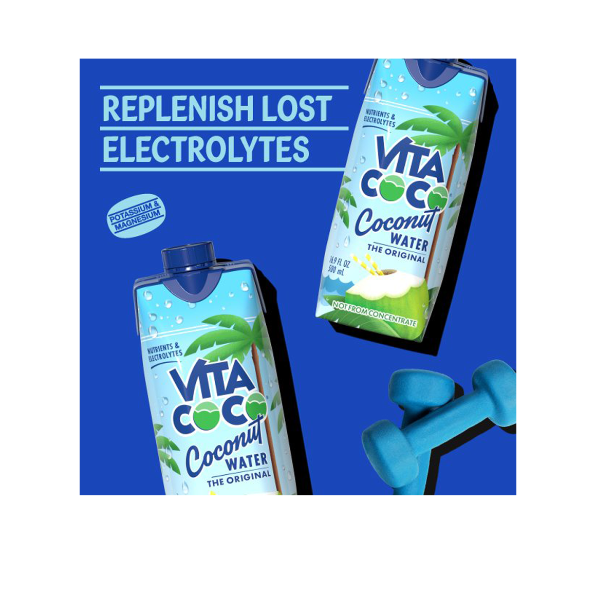 replenish lost electrolytes vita coco coconut water with halved and whole coconuts Image3