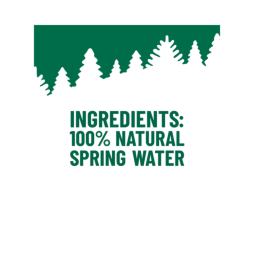 ORIGIN™ 100% Natural Spring Water 900 mL Recycled Plastic Bottle (12 Pack)