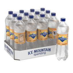 Ice Mountain® Brand Sparkling 100% Natural Spring Water - Lemon Ginger