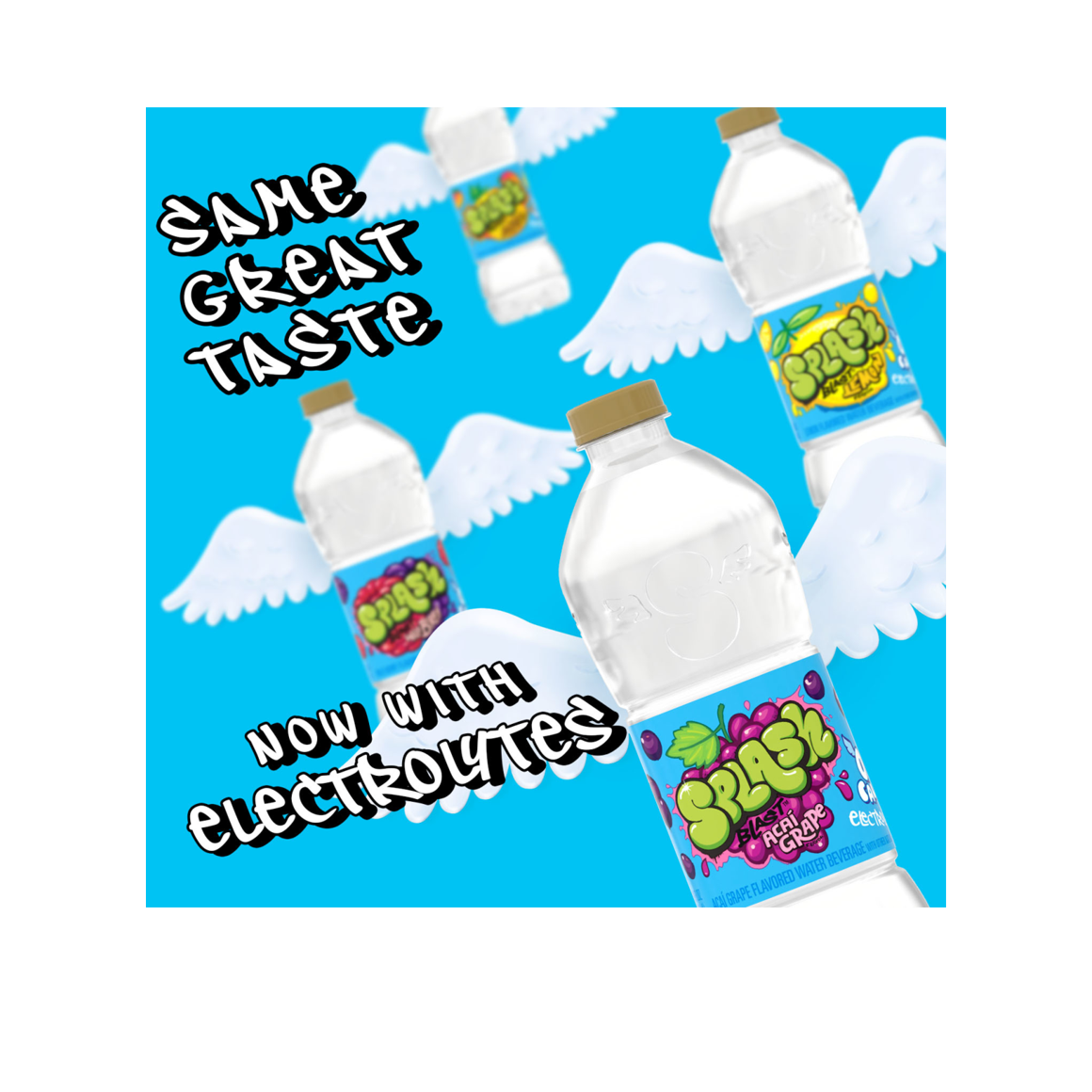 Splash Blast™ Variety Flavored Water Beverage 16.9 Fl Oz Plastic Bottles (24 Pack) Image2