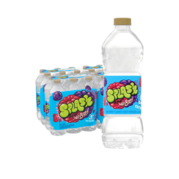 Splash Blast, Flavored Water Beverage, Wild Berry Flavor, 16.9 FL OZ Plastic Bottles (24 Count)
