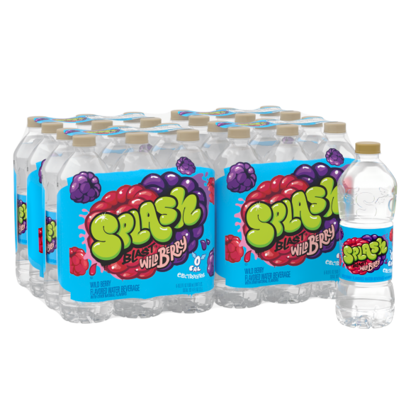 Splash Blast, Flavored Water Beverage, Wild Berry Flavor, 16.9 FL OZ Plastic Bottles (24 Count)