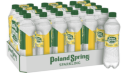 Poland Spring® Lively Lemon Sparkling Water Poland Spring® Lively Lemon Sparkling Water
