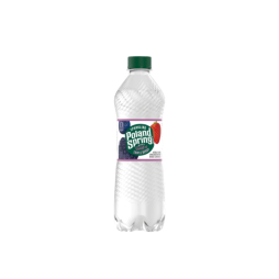 Poland Spring® Rainbow Flavored Sparkling Water Variety Pack