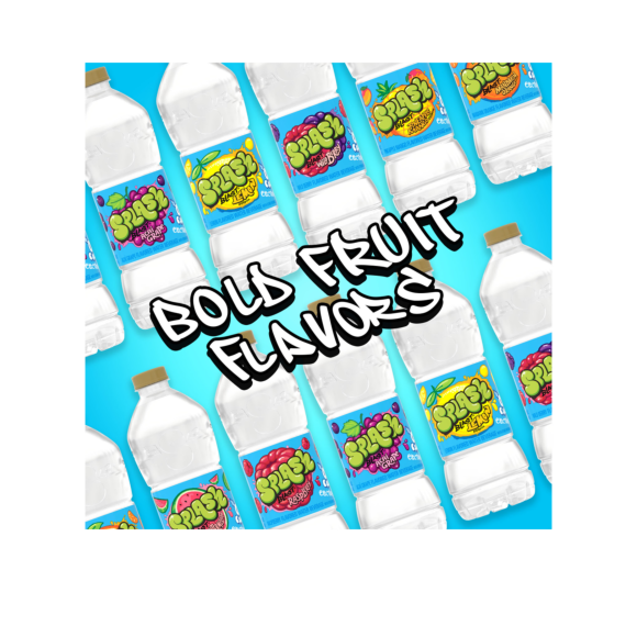 Splash Blast, Flavored Water Beverage, Wild Berry Flavor, 16.9 FL OZ Plastic Bottles (24 Count) Image2