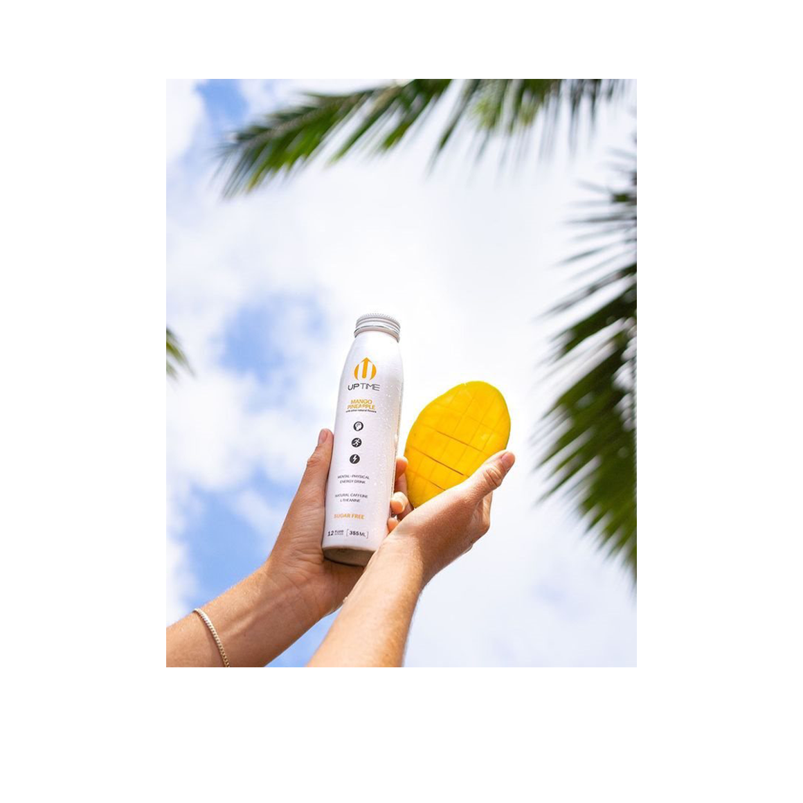hands holding a can of uptime mango pineapple energy drink and a mango underneath palm trees Image4