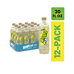 Splash Fizz™ Lemonade Flavored Sparkling Water Beverage 20 Fl Oz Plastic Bottles (12 Pack)