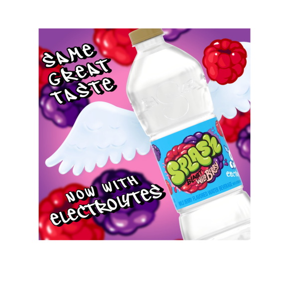 Splash Blast, Flavored Water Beverage, Wild Berry Flavor, 16.9 FL OZ Plastic Bottles (24 Count) Image3
